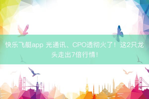 快乐飞艇app 光通讯、CPO透彻火了！这2只龙头走出7倍行情！