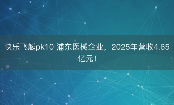 快乐飞艇pk10 浦东医械企业，2025年营收4.65亿元！